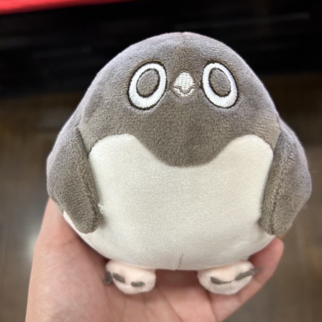 学部生